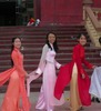 Tho Nguyen Photo 30