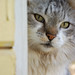 Dennis Devine Photo 14