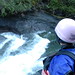 Amy Thrasher Photo 26