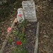 Stephen Thacker Photo 23