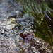 Mark Tribble Photo 25