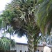 Joyce Doty Photo 25