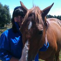 Wendy Wheeler Photo 20