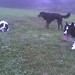 Don Collie Photo 22