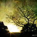 Guillermo Hernandez Photo 7