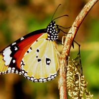 Dhaval Parikh Photo 12