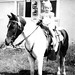 Diane Calvert Photo 18
