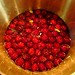 Brandy Cherry Photo 14