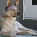 Elroy Cook Photo 4