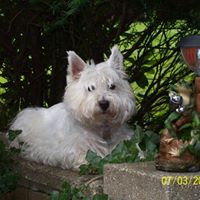 Gary Nutter Photo 27
