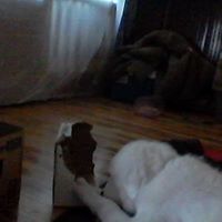 Susan Crandall Photo 28