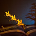 Scott Oliver Photo 9