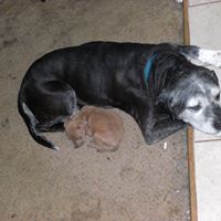 Teresa Burroughs Photo 18