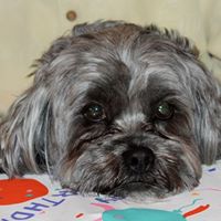 Judy Mcneal Photo 9