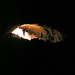 Steven Steen Photo 22