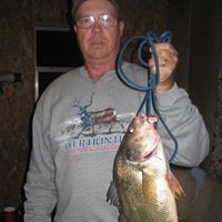 Larry Barron Photo 11