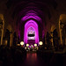 Mark Bird Photo 16
