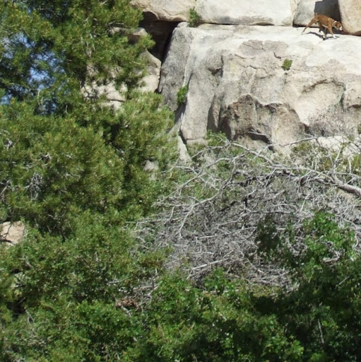 Teri Skelton Photo 7