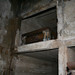 Deanna Lewis Photo 16
