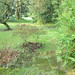 April Green Photo 17