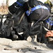 Heather Timms Photo 22
