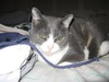 Linda Cook Photo 39
