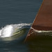 Samuel Cobb Photo 22