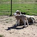 Jeffery Lamb Photo 7