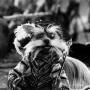 Stephen Mccauley Photo 41