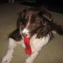 Vickie Thomas Photo 11