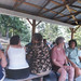 Joan Wolfe Photo 32