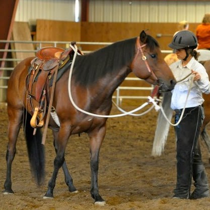 Heather Farrell Photo 6