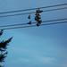 Don Frederickson Photo 9