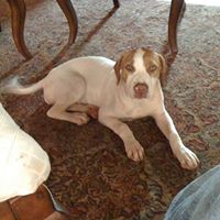 Molly Conley Photo 6 Molly Conley Photo 6