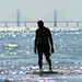David Stephensen Photo 12