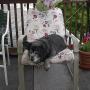Barbara Dougherty Photo 11