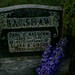 Clara Gibson Photo 33