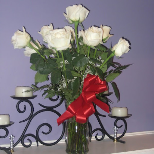 Julie Carnes Photo 12