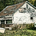 Carol Miles Photo 38