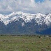 Susan Keene Photo 21