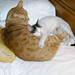 Robin Spaulding Photo 16