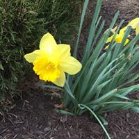 Judith Larkin Photo 11