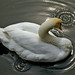 Robert Tolle Photo 16