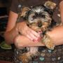 Lisa Chester Photo 39