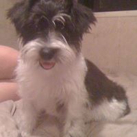 Sue Holbrook Photo 10