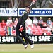 Steven Davies Photo 28