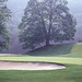 William Snead Photo 22