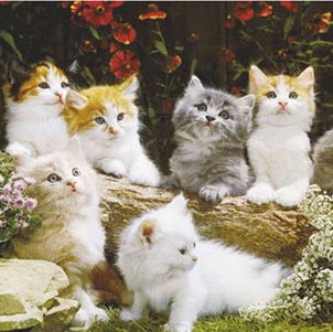 Barbara Best Photo 36