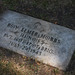 Anthony Hobbs Photo 8