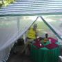 Janice Bush Photo 31